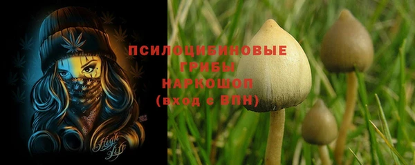 соль ск Алексеевка