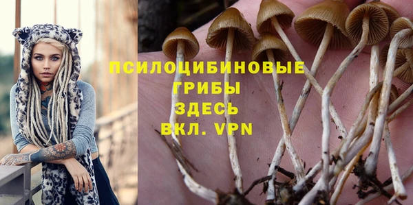 соль ск Алексеевка