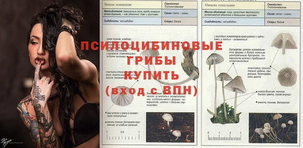 соль ск Алексеевка