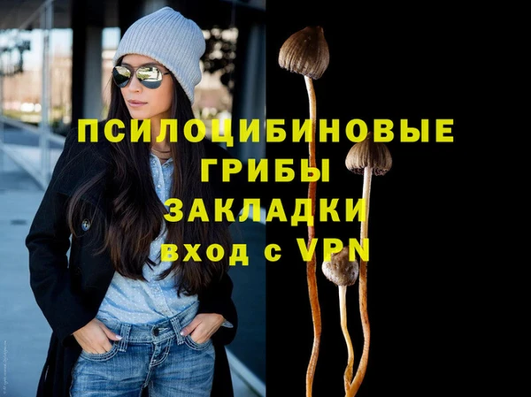соль ск Алексеевка